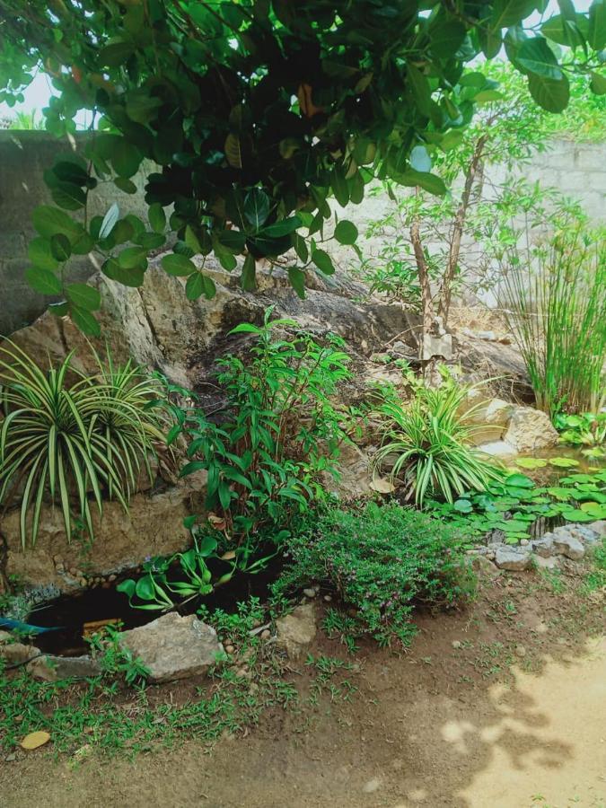 Sidhangana Home Stay Anuradhapura Exterior foto