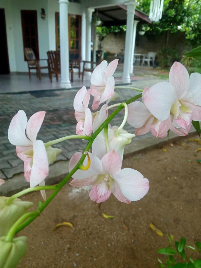 Sidhangana Home Stay Anuradhapura Exterior foto