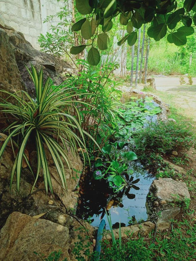 Sidhangana Home Stay Anuradhapura Exterior foto